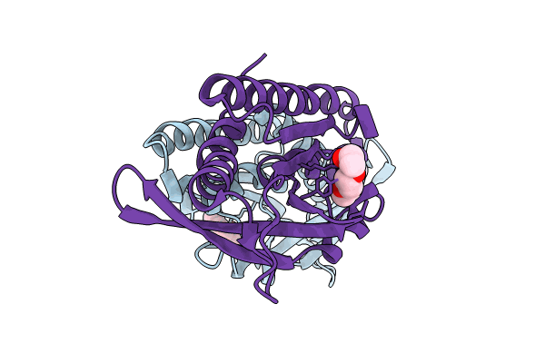 8HYN image