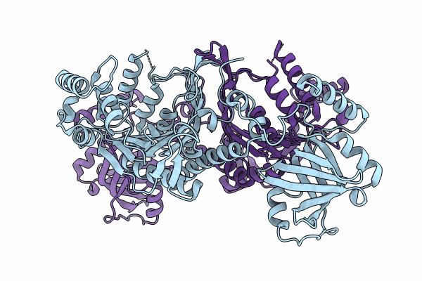8HYR image