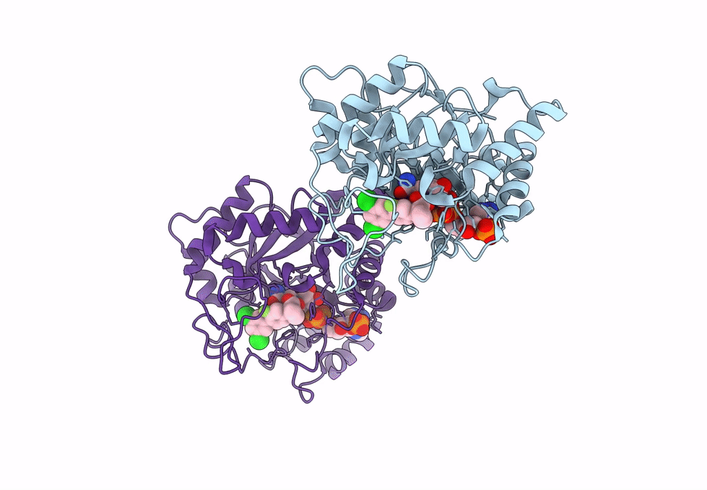 8I0C image