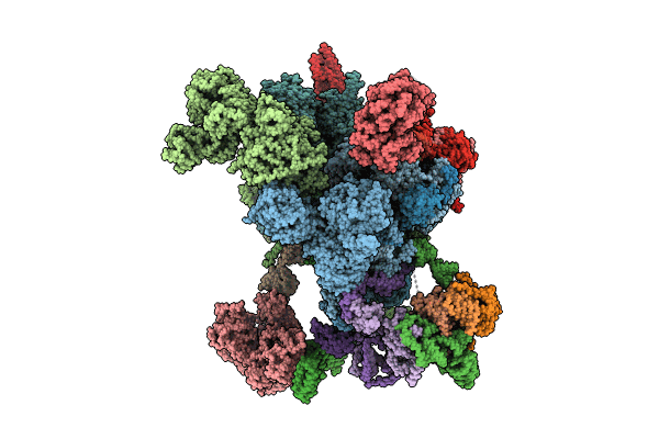 8I0R image