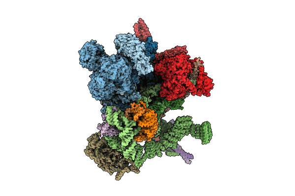 8I0V image