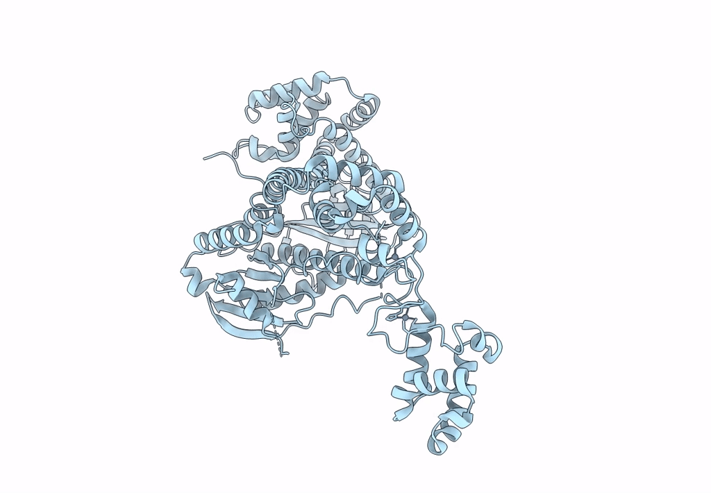 8I16 image