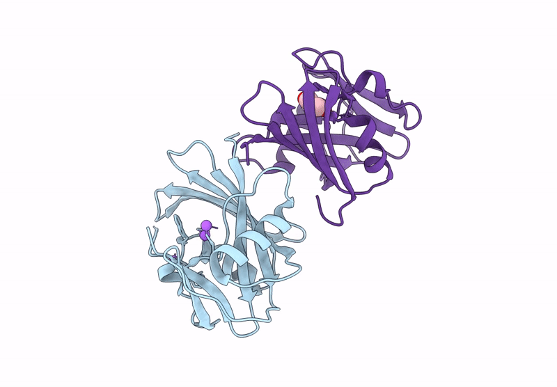 8I1C image