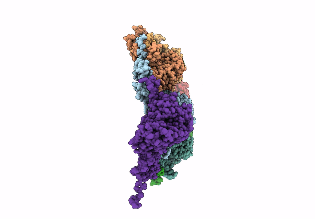 8I1T image