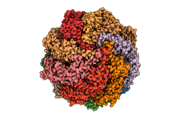 8I1U image