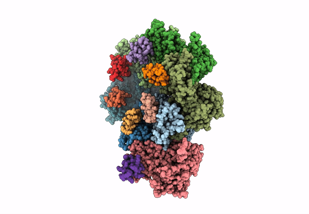 8I1V image
