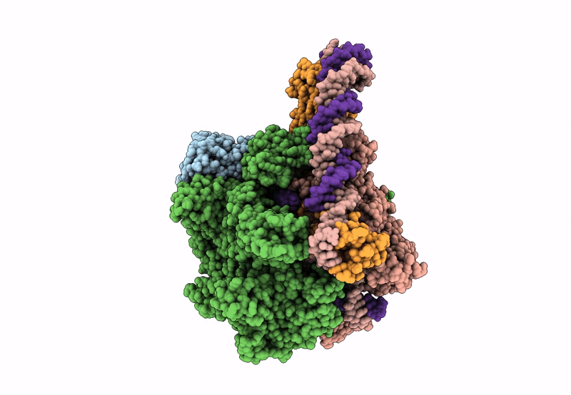 8I23 image