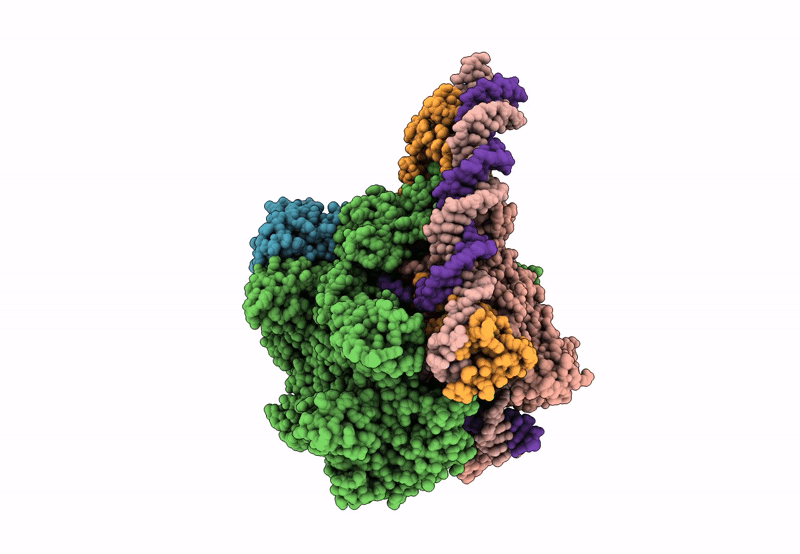 8I24 image