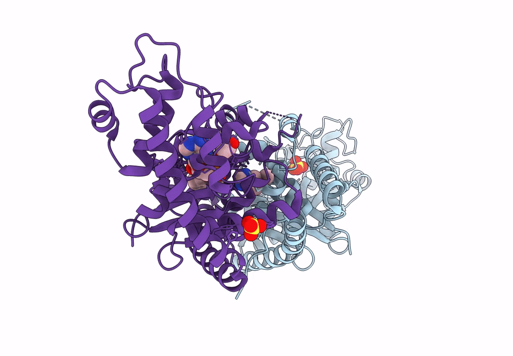 8I2A image