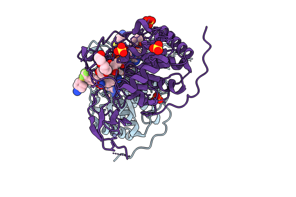 8I2B image