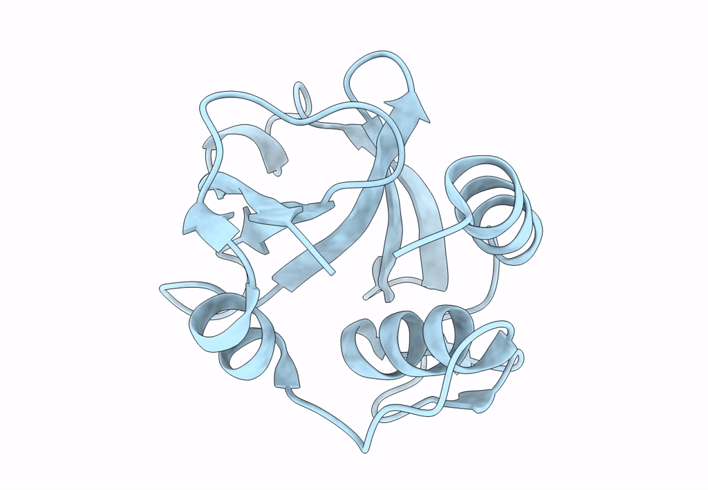 8I2D image