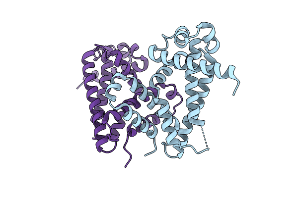 8I2K image