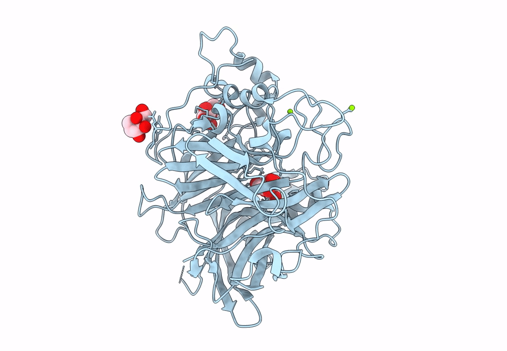 8I2R image