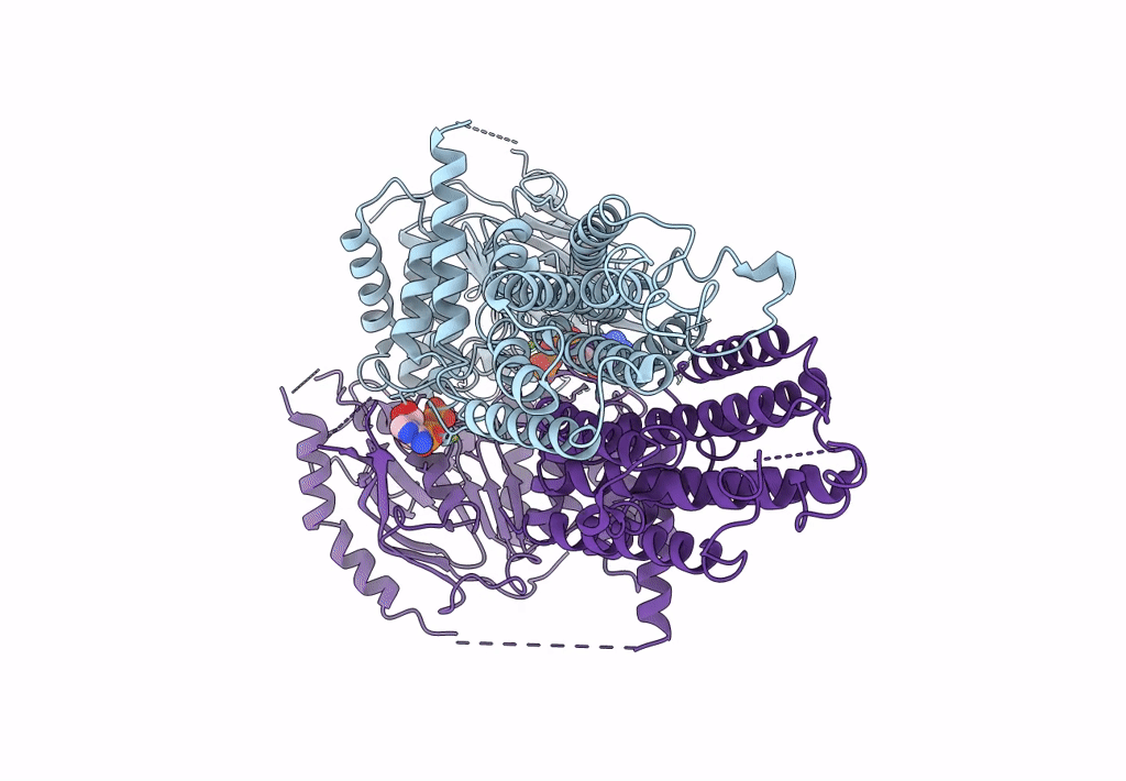 8I3A image