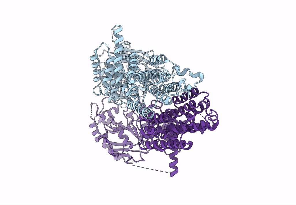 8I3D image