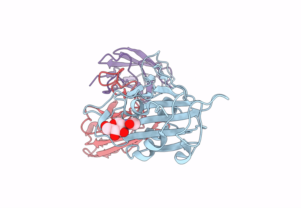 8I3U image
