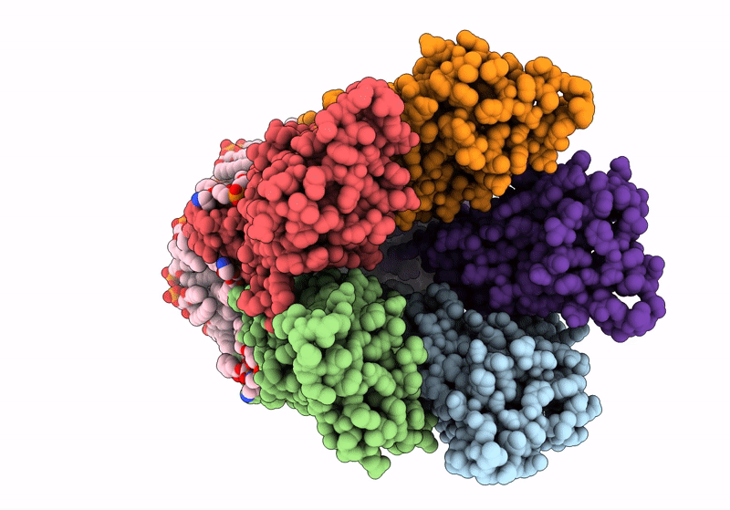 8I42 image
