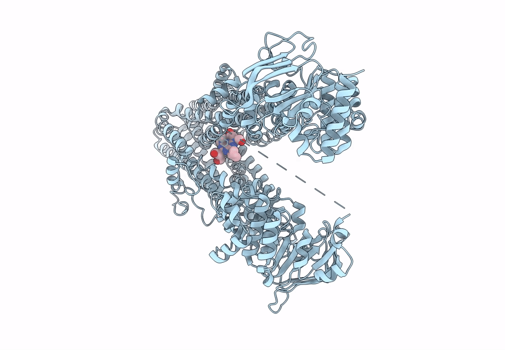 8I4A image
