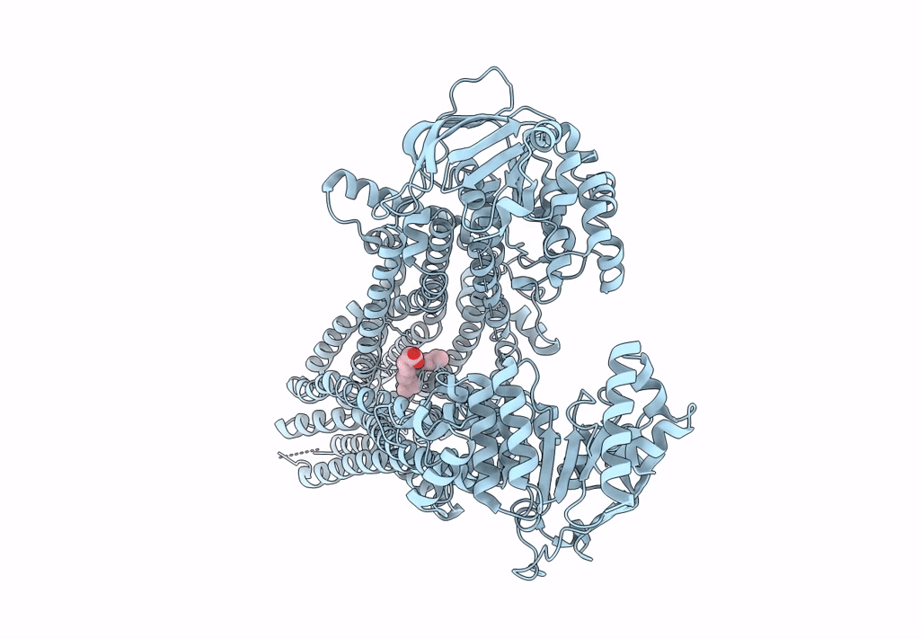 8I4C image