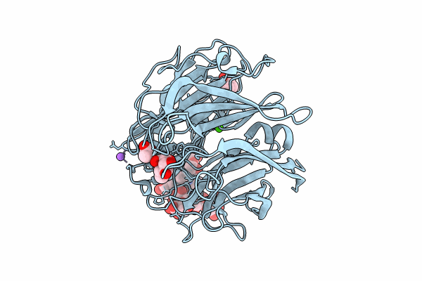 8I4D image