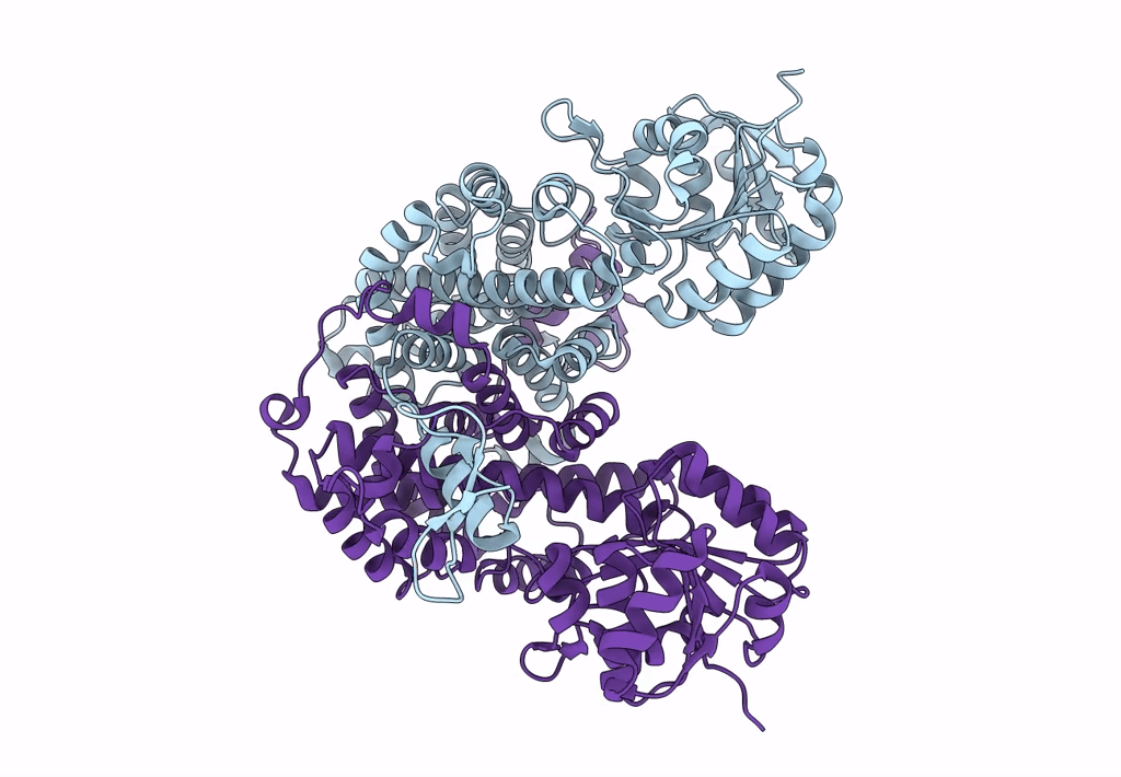 8I4N image