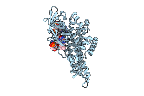 8I4R image