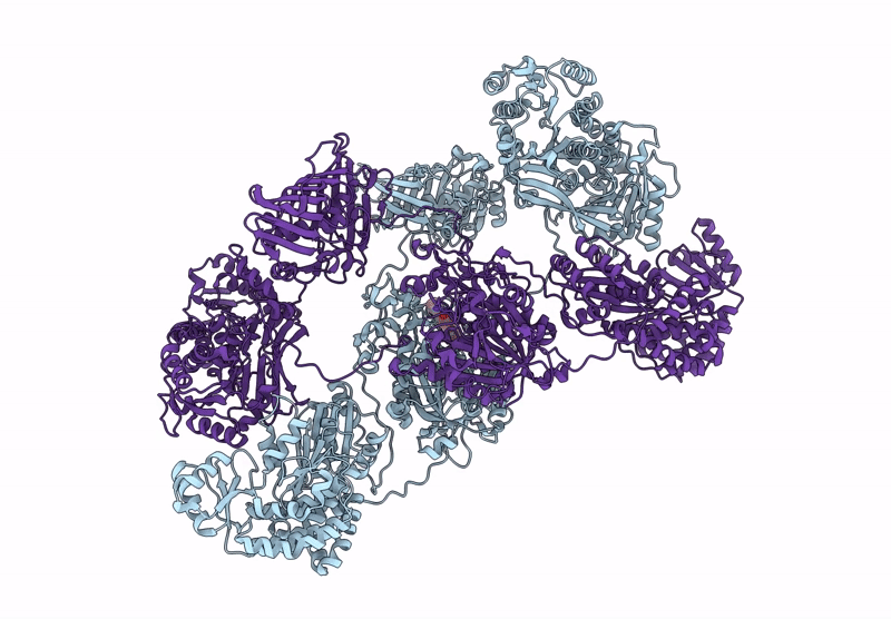 8I4Z image