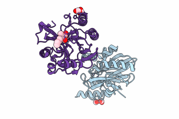 8I52 image
