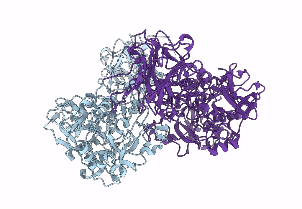 8I5A image