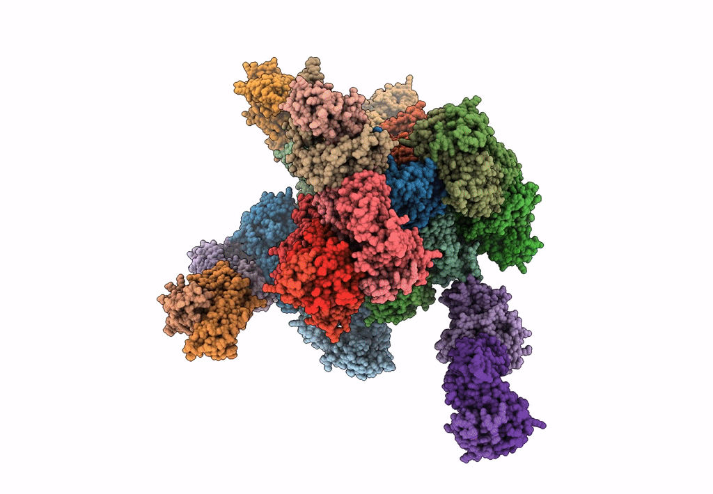 8I5C image