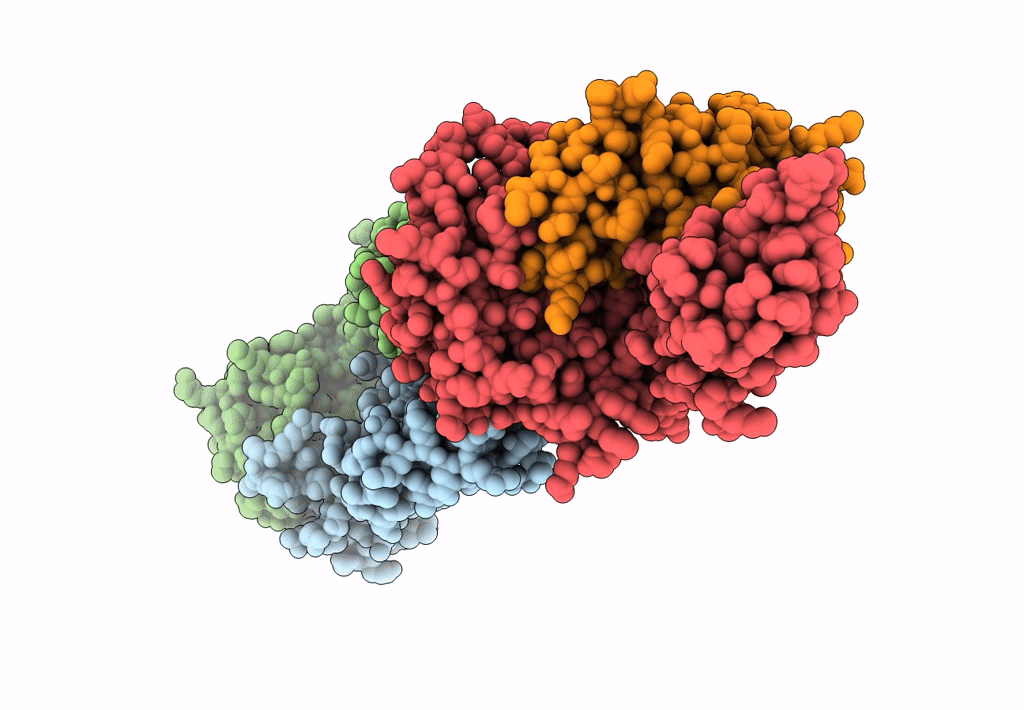 8I5D image
