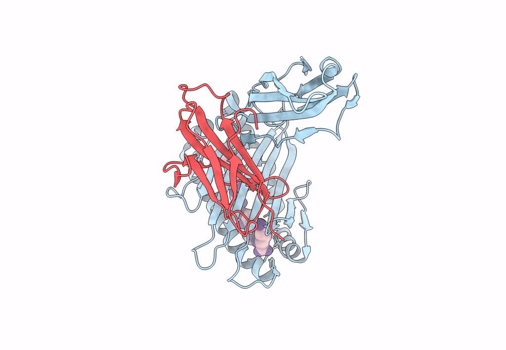 8I5E image