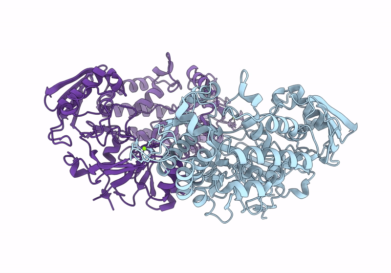8I5J image