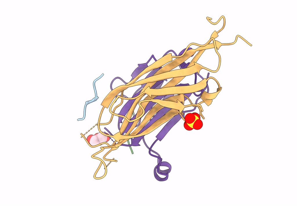 8I60 image