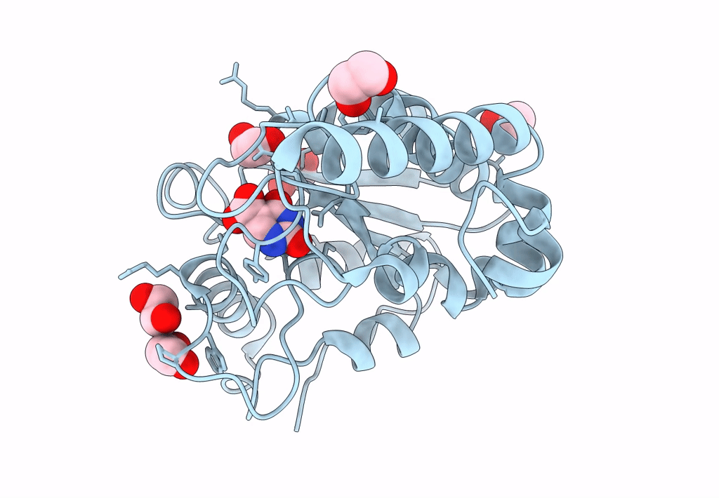 8I65 image