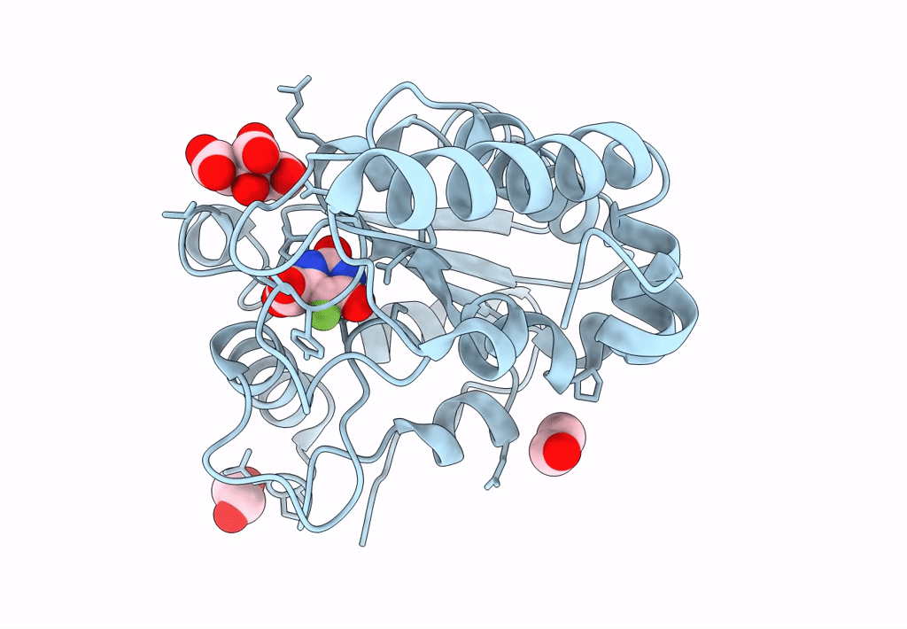 8I69 image