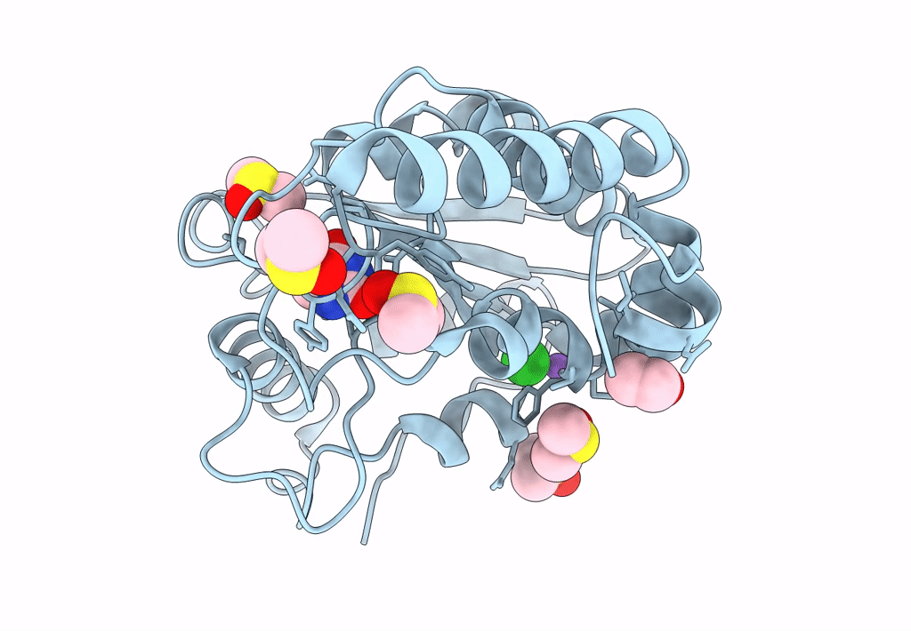 8I6B image