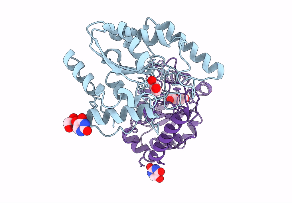 8I6D image