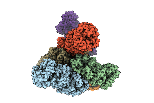 8I6T image