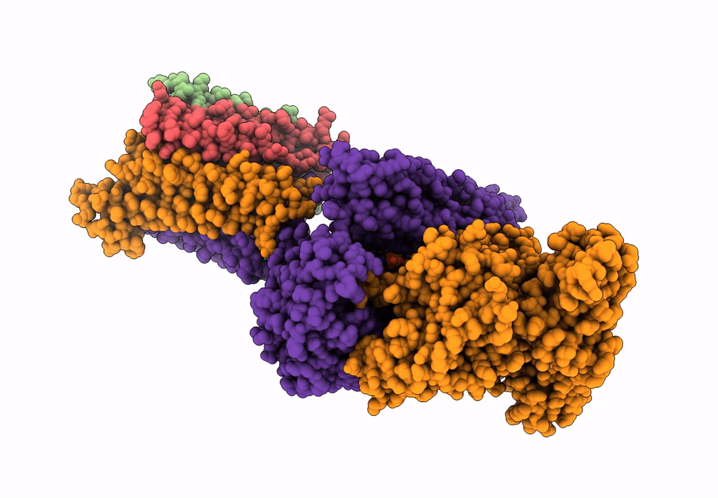 8I6V image