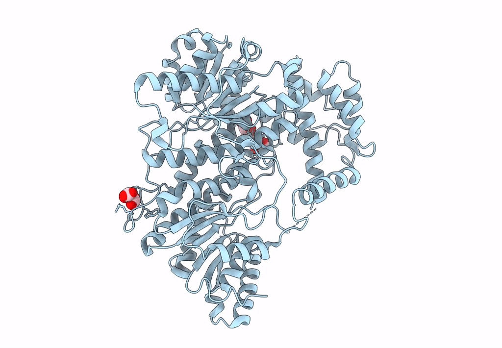 8I6Z image
