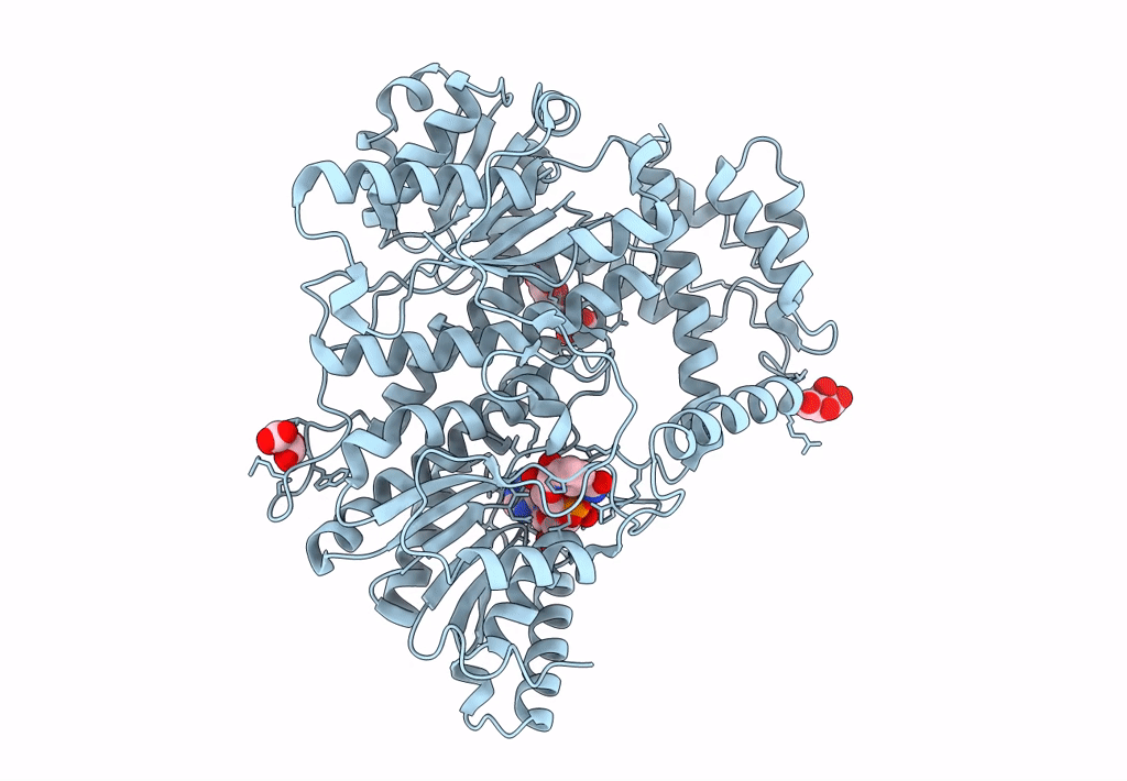8I70 image