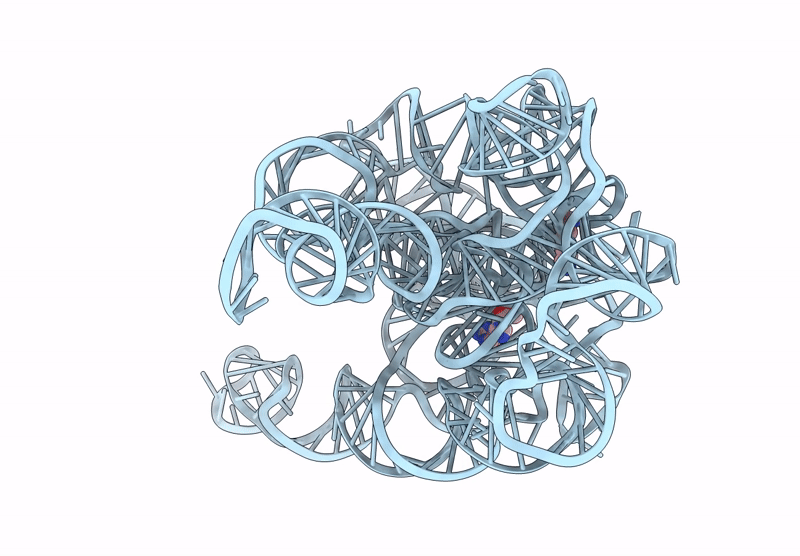 8I7N image