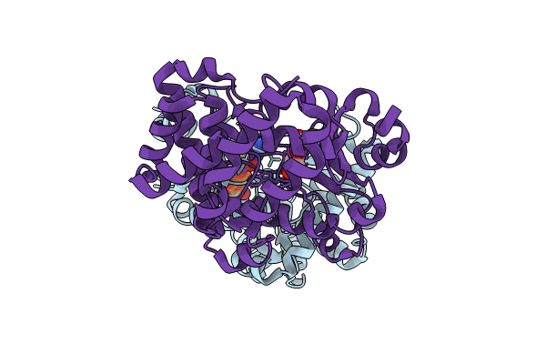 8I86 image