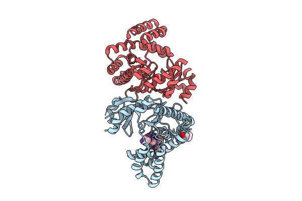 8I89 image