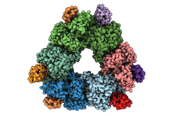 8I8D image