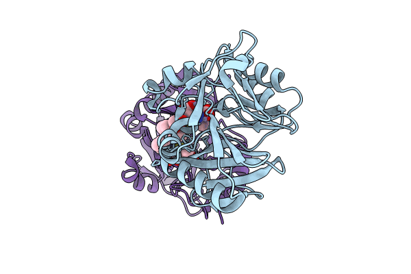 8I8F image