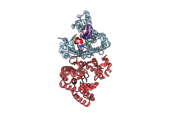 8I8H image
