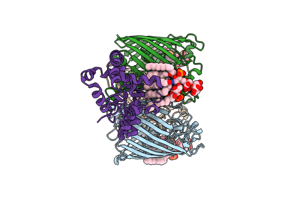 8I8R image