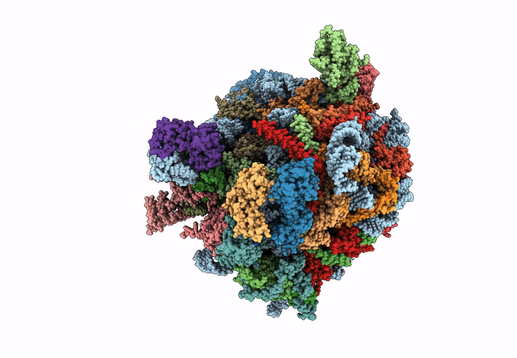 8I9V image